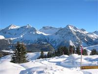 Arosa
